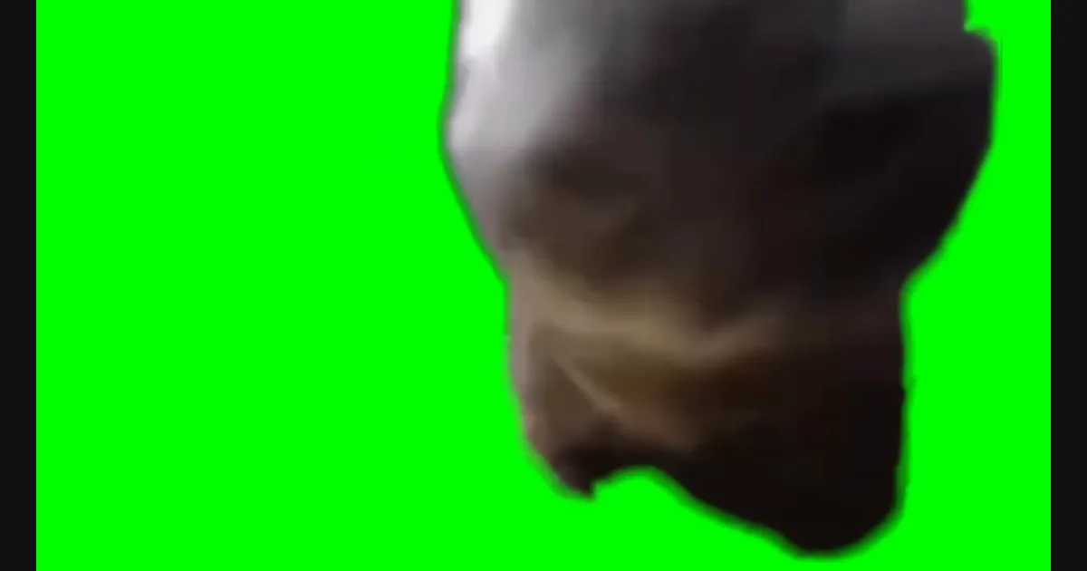 Chipi Chipi Chapa Chapa Cat video preview frame