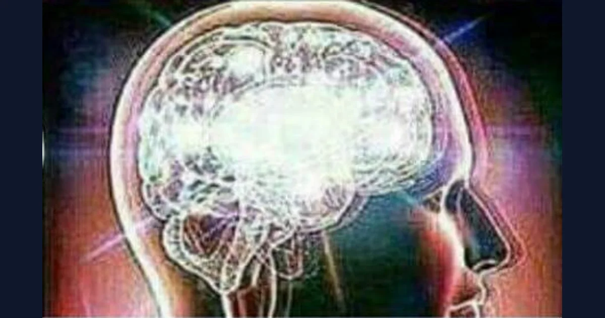 Galaxy Brain / Expanding Brain meme reference preview (reference preview)