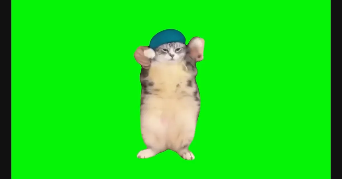 Girlfriend Dancing Cat video preview frame