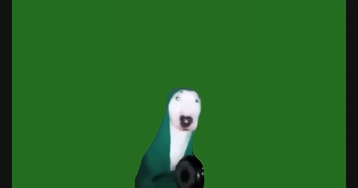 Hitting Pot Dog video preview frame