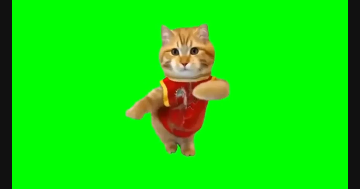 Two-Legged Walking Cat video preview frame
