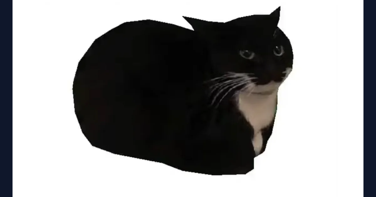 Maxwell Spinning Cat reference image from the cited meme history (reference preview)