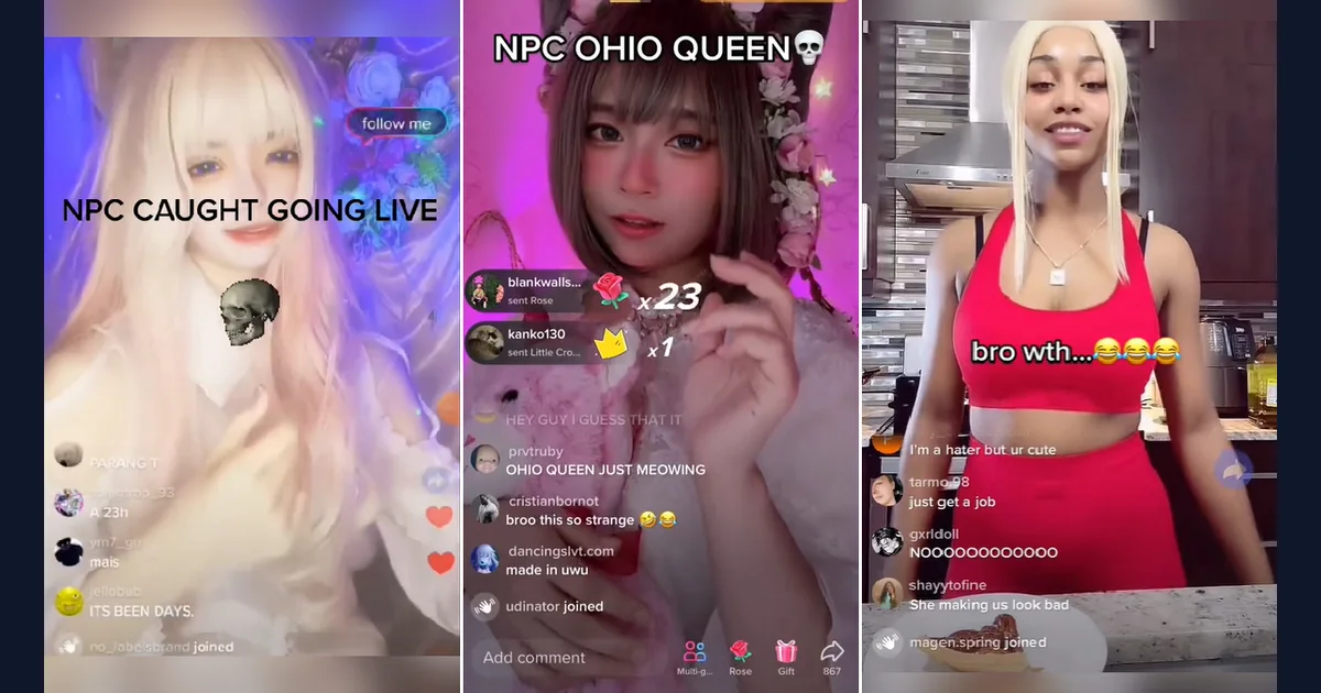 NPC Streaming reference image from the cited meme history (reference preview)