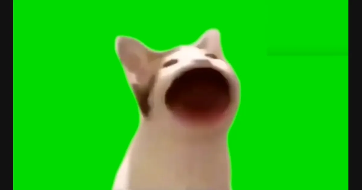 Popcat video preview frame