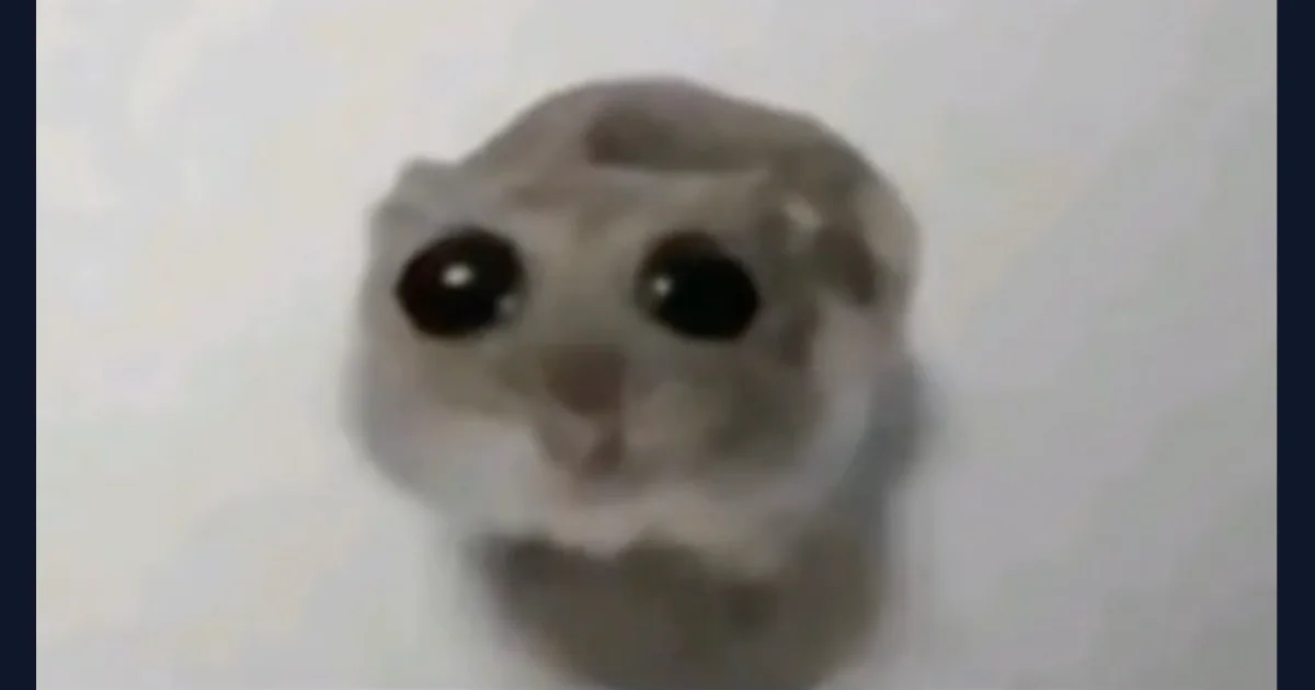 Sad Hamster reference image from the cited meme history (reference preview)