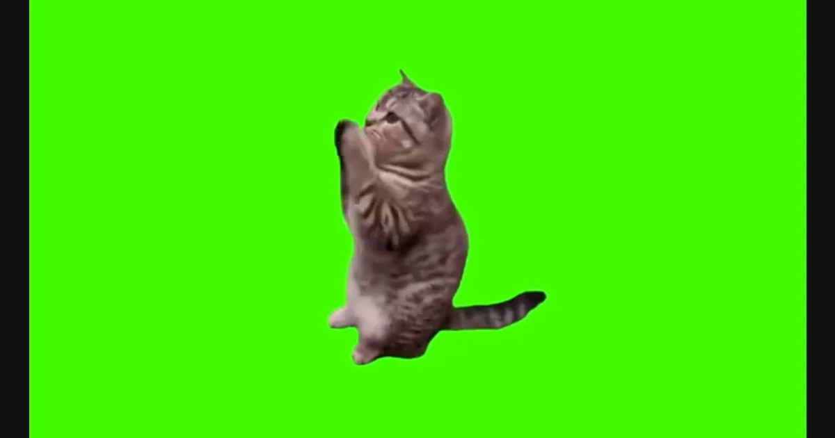 Waving Lucky Cat video preview frame