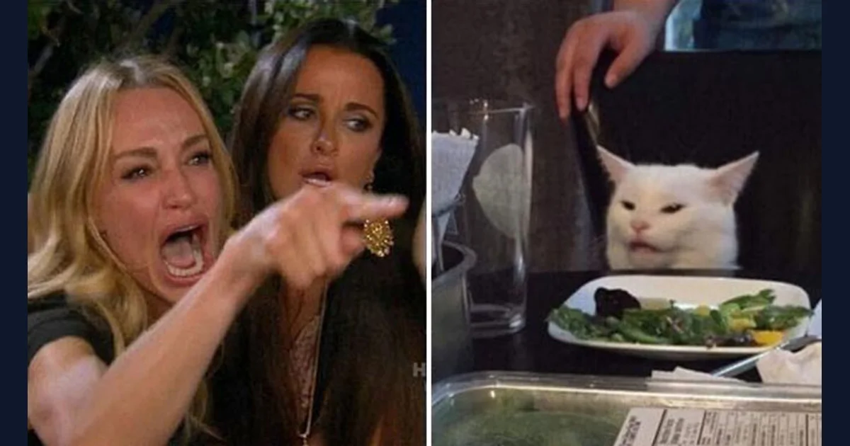 Woman Yelling at a Cat meme reference preview (reference preview)